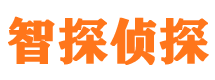 平顶山市侦探公司